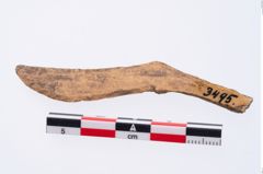 Foto von Beingerät (NHMW-PRAE-003495)